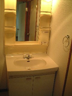 Washroom. There is a separate basin