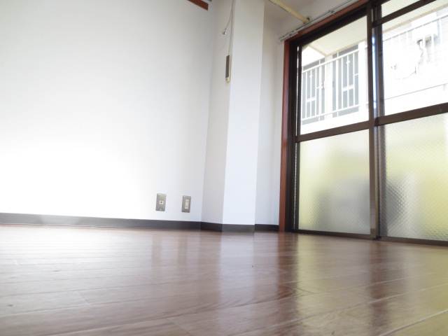 Living and room. Clean room