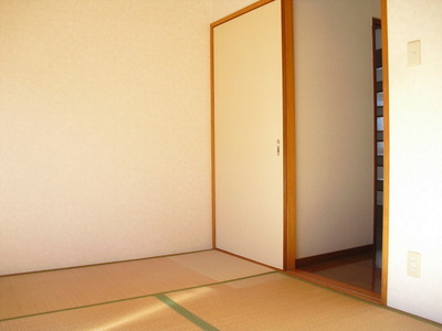 Living and room. Japanese style room