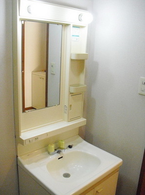 Washroom. Independent wash basin