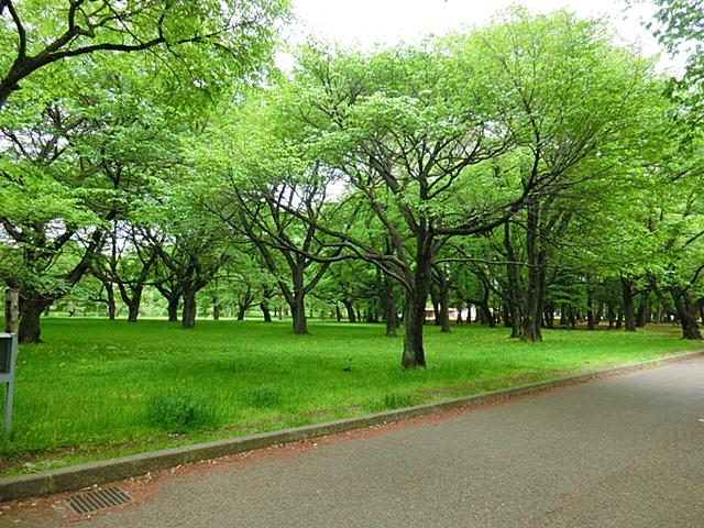 park. 500m to Koganei Park