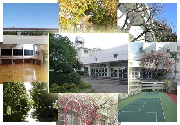 Junior high school. Koganei 1140m to stand first junior high school