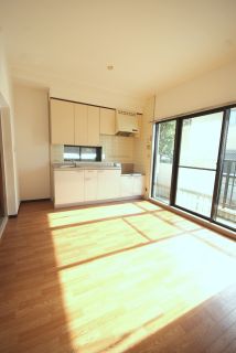 Kitchen. South-facing bright kitchen