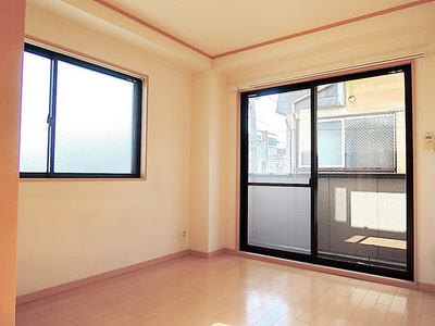 Living and room. Two-sided lighting of Western-style 6 quires