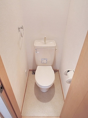 Toilet. Toilet