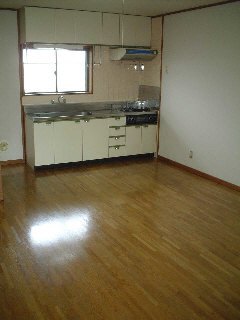 Kitchen. Kitchen space