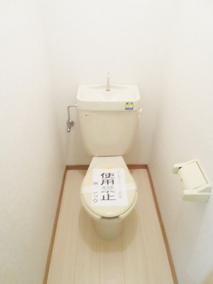 Toilet. Toilet