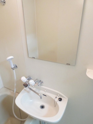 Washroom. Wash basin