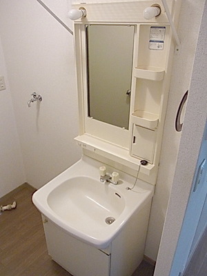 Washroom. Independent wash basin