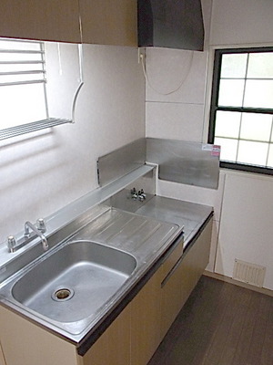 Kitchen. Two-burner gas stove installation Allowed Kitchen
