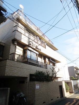 Building appearance. Mansion