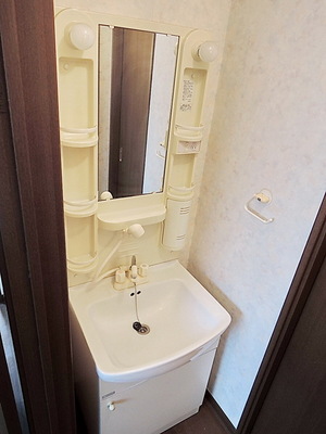 Washroom. Independent wash basin