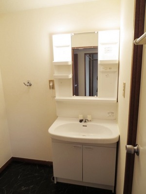 Washroom. Independent wash basin