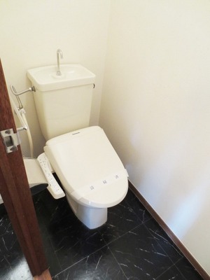 Toilet. Bus toilet by