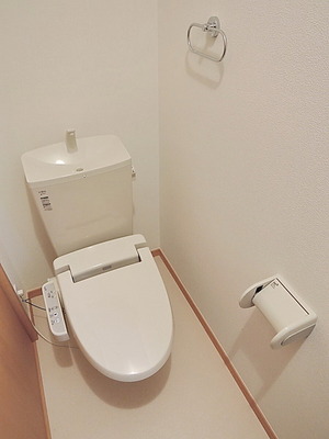 Toilet. Bidet function toilet