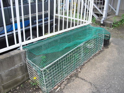 Other common areas. Garbage yard