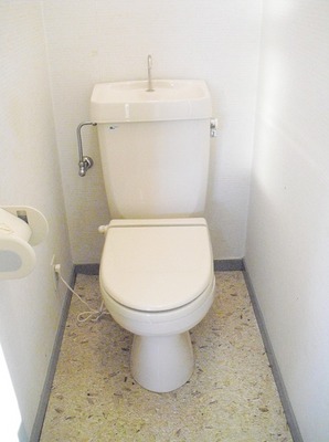 Toilet. Toilet