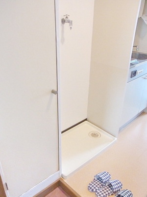 Washroom. Washing machine in the room