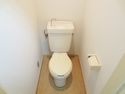 Toilet. Toilet