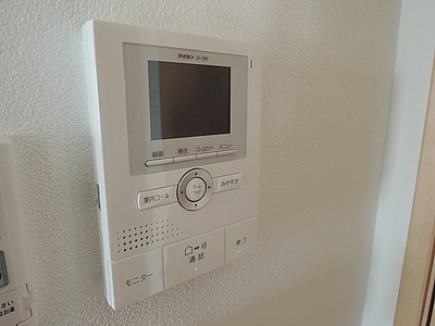 Security. Monitor with intercom