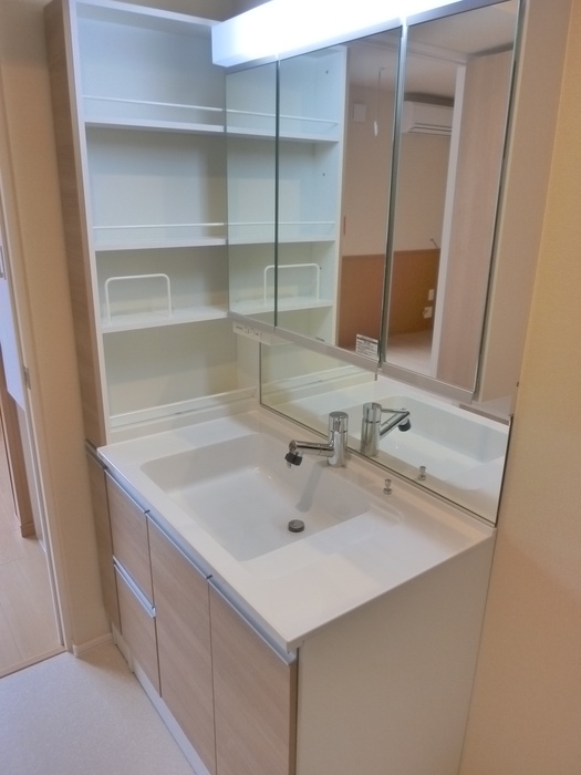 Washroom. Shampoo dresser