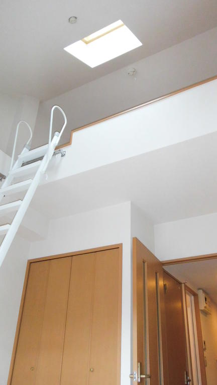 Other room space. Bright room with with skylight