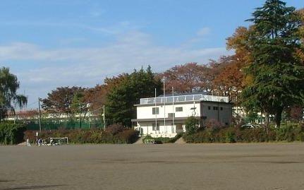 Other. Clean water park