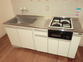 Kitchen.  [Separate reference photograph] Two-burner gas system Kitchen