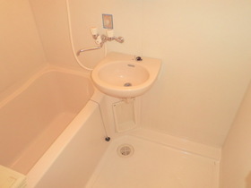 Bath.  [Separate reference photograph] bath