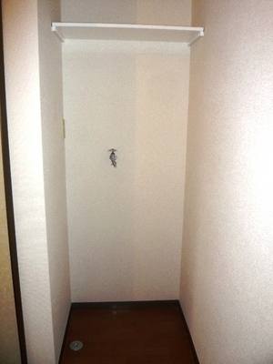 Other. There Indoor Laundry Area. (It is with a top shelf)