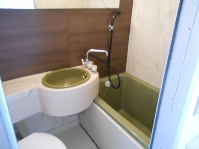 Bath. Stylish unit bus accent panel and a wide mirror