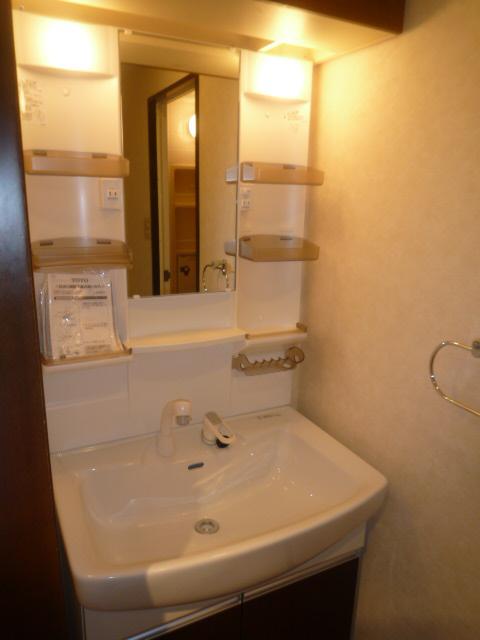Wash basin, toilet. Washroom (January 2014) Shooting