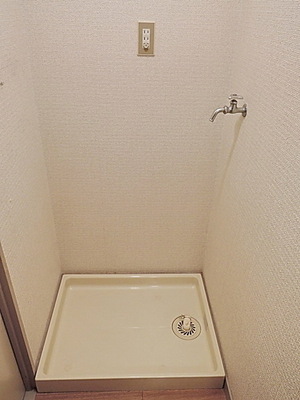 Washroom. Indoor Laundry Storage