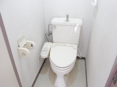 Toilet. Toilet