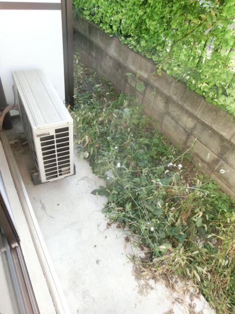 Balcony. 7 Pledge is spread flooring