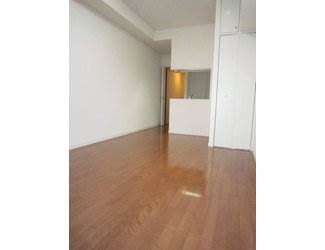 Living and room. Large living