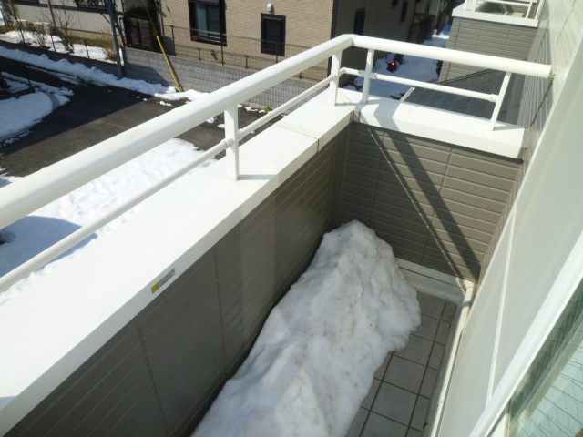 Balcony. It is a south-facing balcony