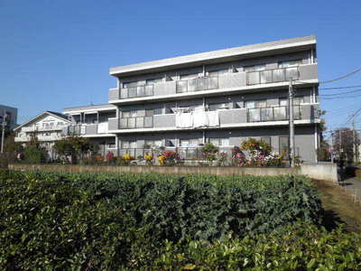 Building appearance. Appearance 2