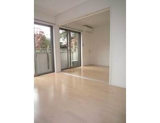 Living and room. Clean room