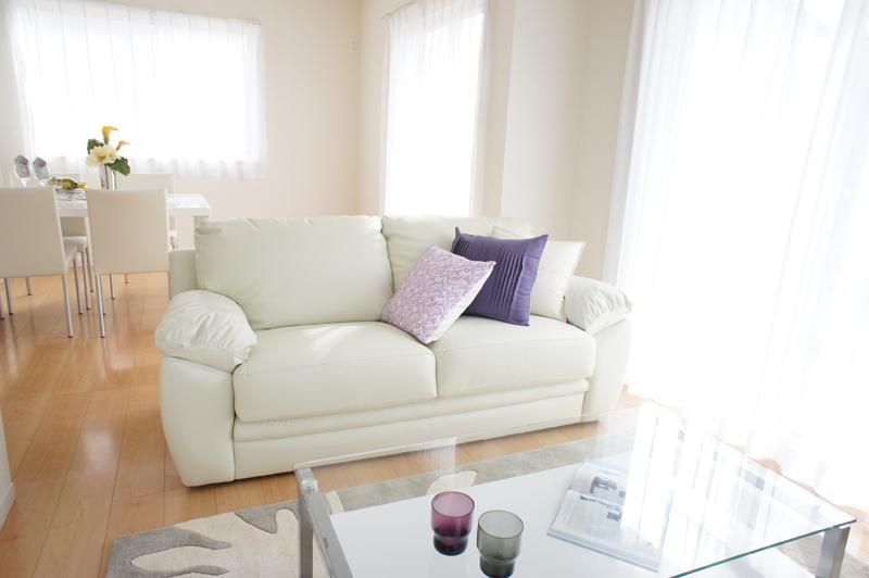 Living. Example of construction (in fact furniture is not incidental)