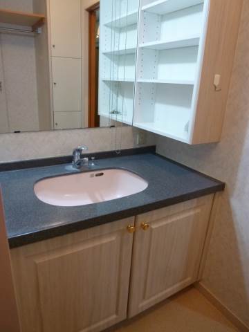 Washroom. There is a wash basin wide