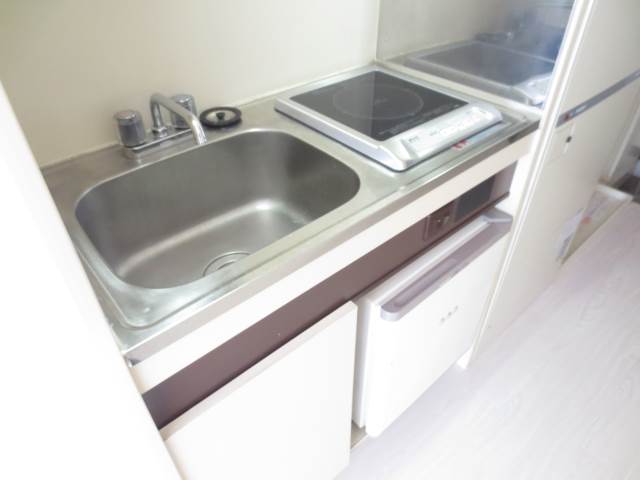 Kitchen. Mini fridge with IH stove