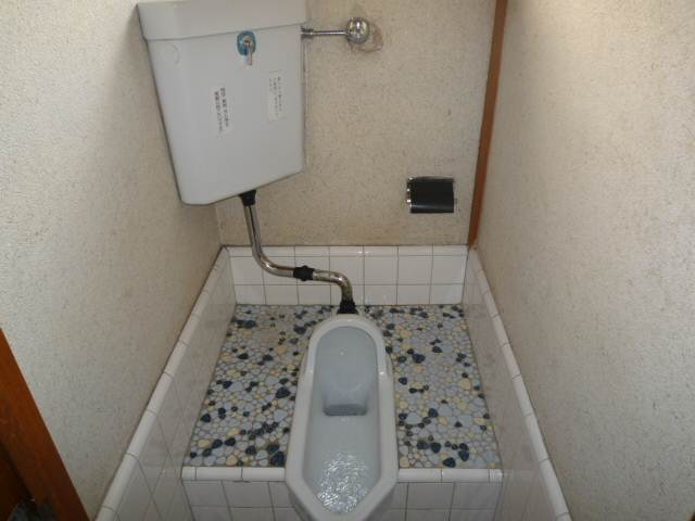 Toilet. Japanese-style toilet