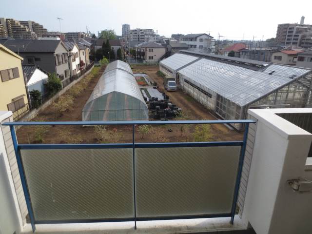 View. The view is great