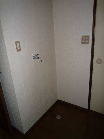 Other room space. Washing machine in the room