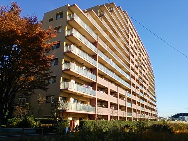 Local appearance photo. Local (11 May 2013) Shooting