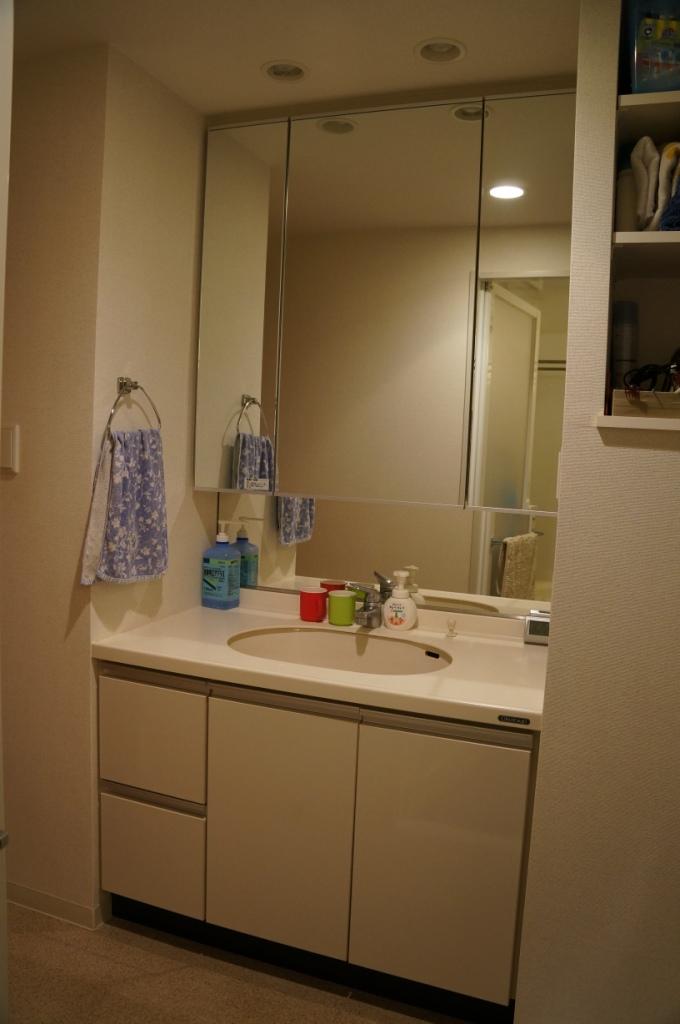 Wash basin, toilet. Indoor (11 May 2013) Shooting