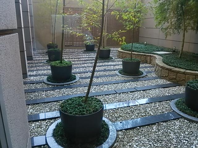 Other local. Local (11 May 2013) Shooting