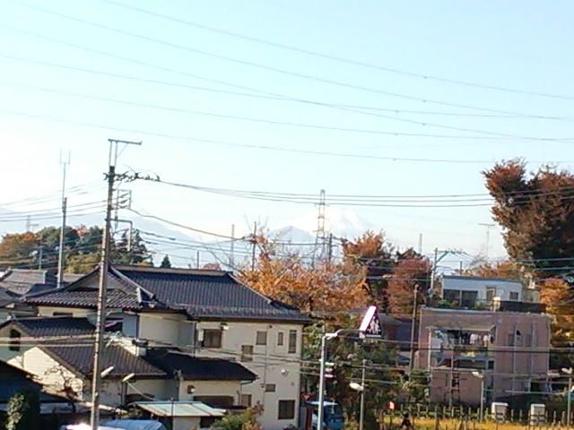 View photos from the dwelling unit. View from the site (November 2013) Shooting