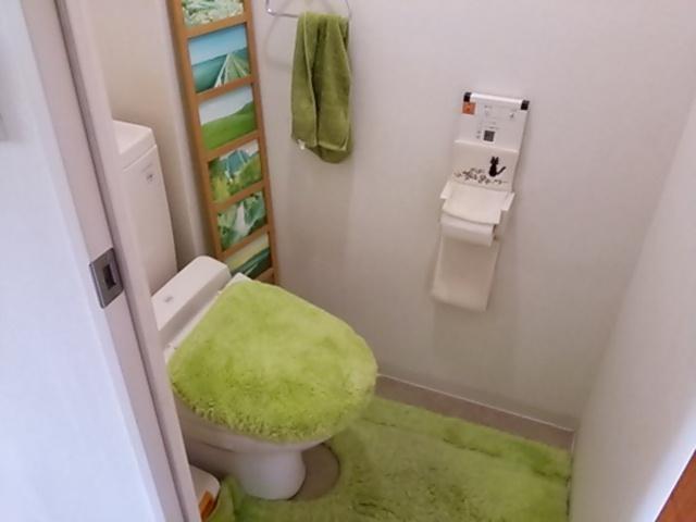 Toilet. Indoor (11 May 2013) Shooting